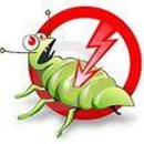 D-Pest Management Specialist - Termite Control