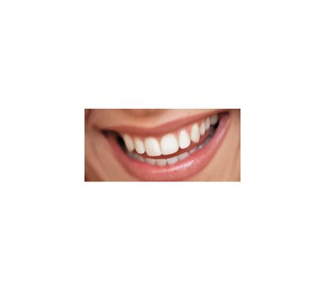 The Orthodontist - Adelaide, SA