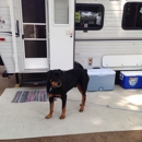 Pine Harbor Campground