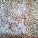 Mortensen Hay Co