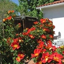 Casa Blanca Inn & Suites