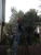 D's Tree and Landsacaping - Landscape Designers & Consultants