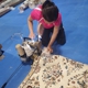 Heirloom Oriental Rug Cleaning