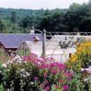 Amazing Flower Farm - Garden Centers
