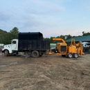 Affordable Tree Care - Tree Service