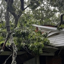 Frady Tree Care - Arborists