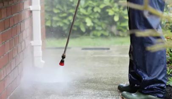 Abelia Cleaning - Bungalow, QLD