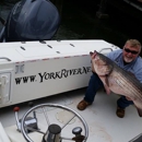 York River Charters - Fishing Charters & Parties