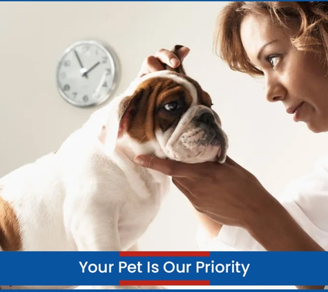 Wetherill Park Vet Clinic - Wetherill Park, NSW. Your Pet Is Our Priority