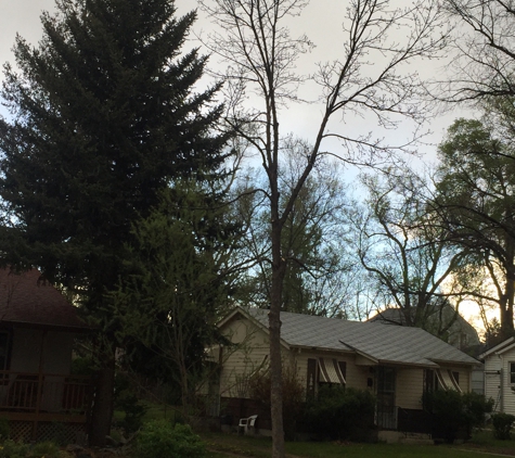 Abe's Tree Service - Colorado Springs, CO. City tree crown cleanse