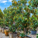 Moon Valley Nurseries