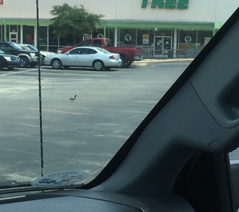 Dollar Tree - San Antonio, TX