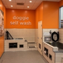 Petco Grooming