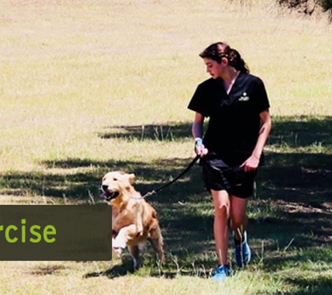 Paw Park Pet Resort - Woodburn, NSW. Exercise