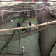 Ozzie Smith's Sport Academy & Indoor Batting Cages