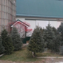 Mott's Christmas Barn - CLOSED