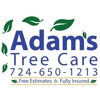 Adams Tree Care gallery