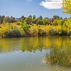 Bonterra Lakeside Apartments gallery