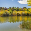 Bonterra Lakeside Apartments - Apartments