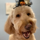 Happy Paws Pet Spa - Pet Grooming