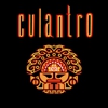 Culantro gallery