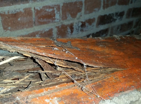 North Sydney Pest Management