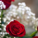 New Smyrna Beach Florist Inc - Florists