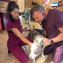 Hearthstone Animal Clinic - Veterinarian Emergency Services