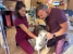 Hearthstone Animal Clinic - Veterinarian Emergency Services