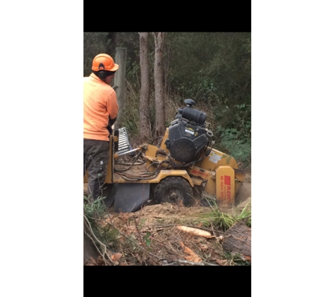 Stump Pro - Hobart, TAS