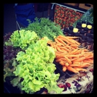 Watauga County Farmer's Market