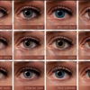 contact lenses & beauty supplier gallery