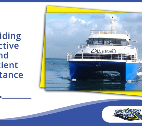 Stradbroke Flyer Gold Cats - Cleveland, QLD. Providing Effective And Efficient Assistance