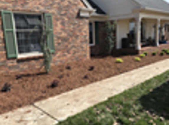 Ellis Landscape Design - Bristol, TN