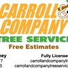 Carroll And Company Tree Service gallery