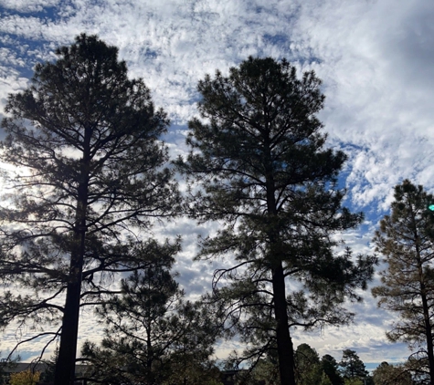 Hilton Garden Inn Flagstaff - Flagstaff, AZ