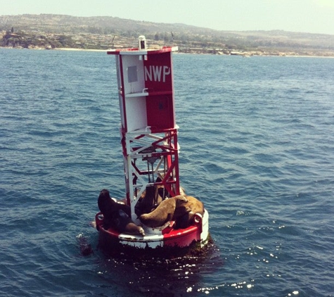 Newport Landing - Newport Beach, CA