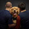 Olive and Fable Pet Photography gallery
