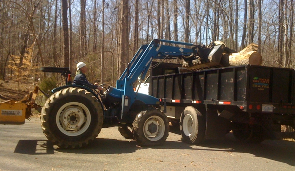 Central Tree Service - Burlington, NC