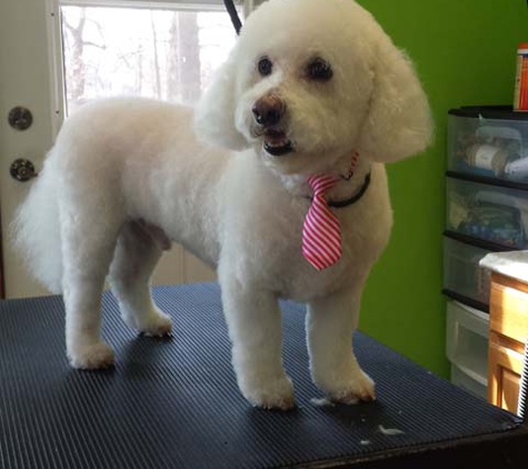 R.C. Grooming - Anamosa, IA