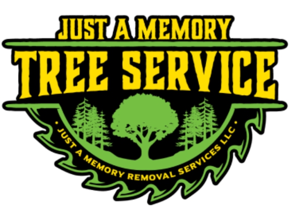 Just a Memory Removal Services