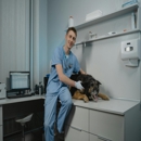 Animal Medical Hospital