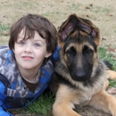 Appleridge German Shepherds - Pet Services