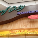 Surf City Squeeze - Ice Cream & Frozen Desserts