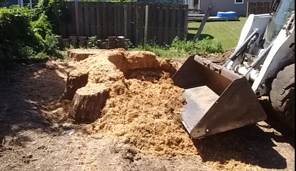 Stump Removal of Omaha - Omaha, NE