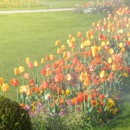 Irrigation Tech - Irrigation Systems & Equipment