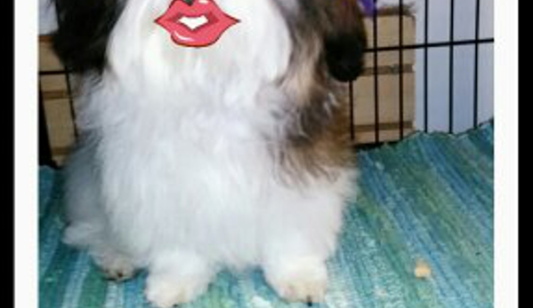 Top Performance Grooming - Kingsport, TN. Hot Lips Meeka !