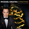 Michael Sinatra LLC gallery