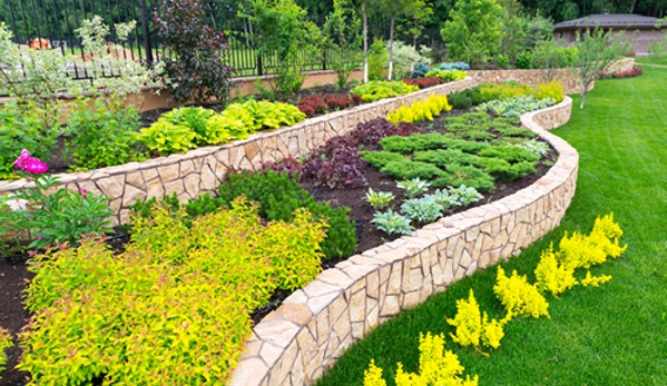 Chop Chop Landscaping in Dallas - Dallas, TX