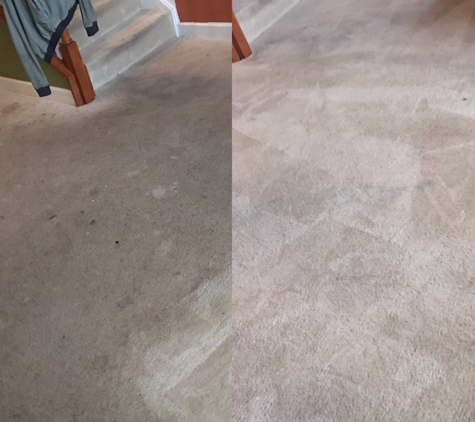 Red Carpet Cleaning - Manassas, VA